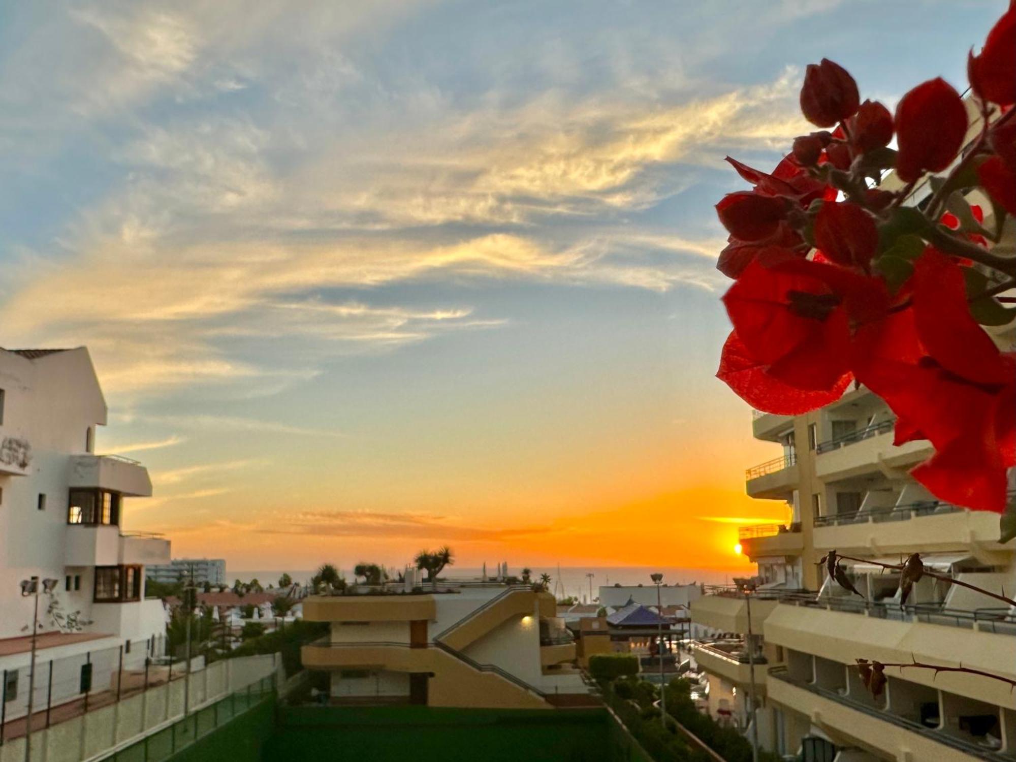 Apartment In Ocean Park, Costa Adeje, Tenerife 외부 사진