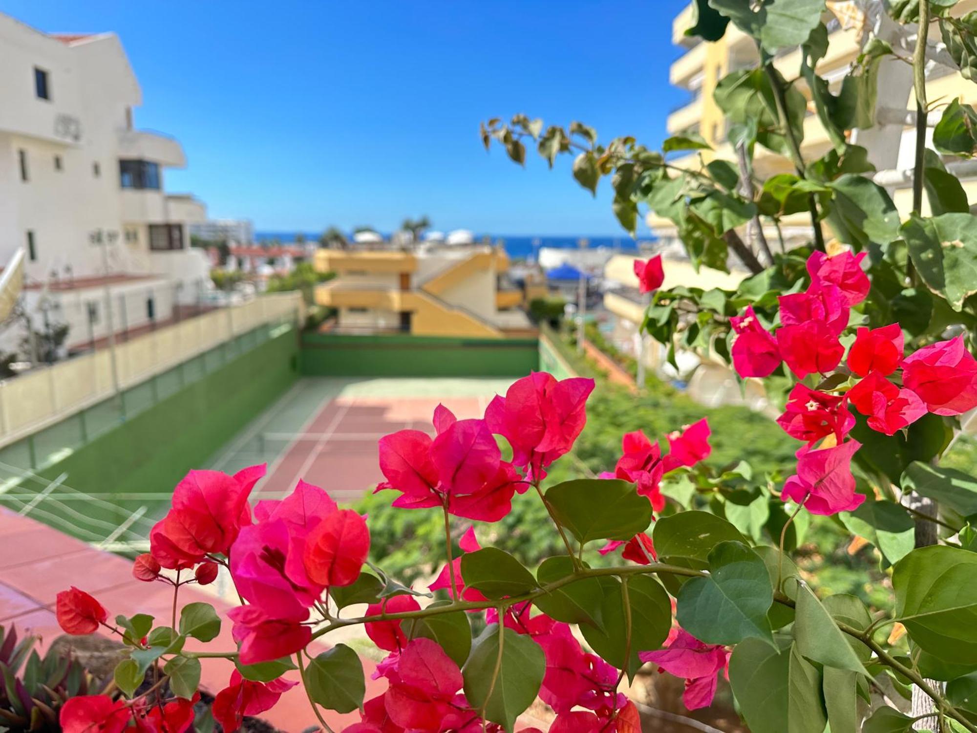 Apartment In Ocean Park, Costa Adeje, Tenerife 외부 사진