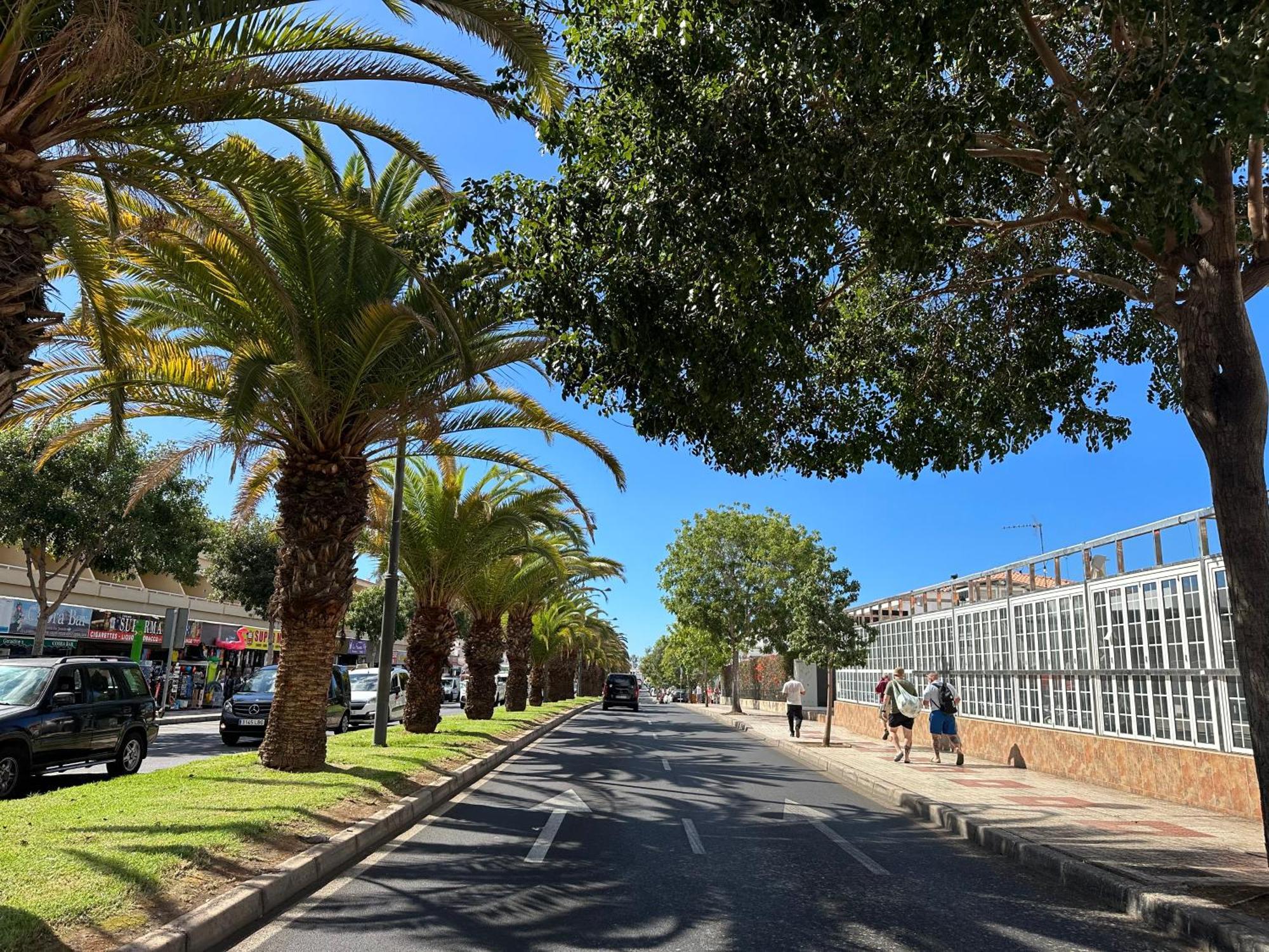 Apartment In Ocean Park, Costa Adeje, Tenerife 외부 사진